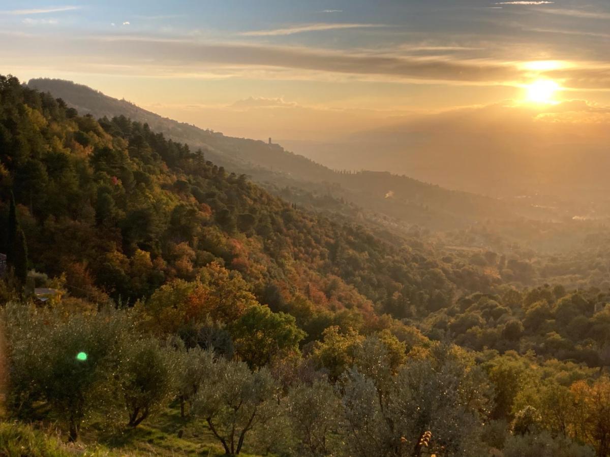 Cortona'S Rooftop Nest ภายนอก รูปภาพ